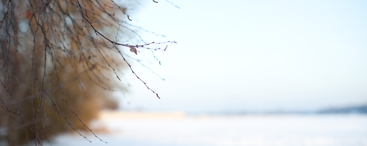 5329299823_ae4f1a0ffd_o